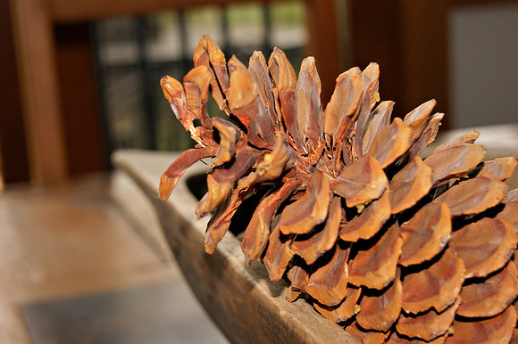 Pinecone table decoration